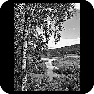 Фото Фон шаблон 190