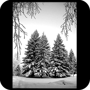 Фото Фон шаблон 186