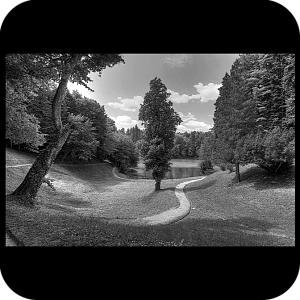 Фото Фон шаблон 61