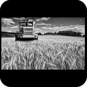 Фото Образ жизни шаблон 143