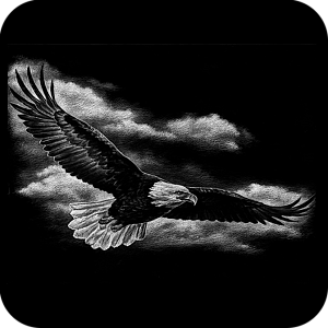 Фото Птицы шаблон 26