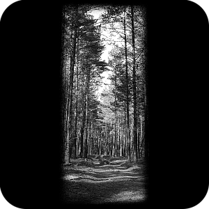 Фото Фон шаблон 189