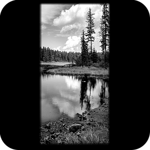 Фото Фон шаблон 163