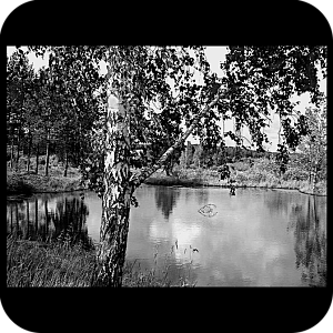 Фото Фон шаблон 72