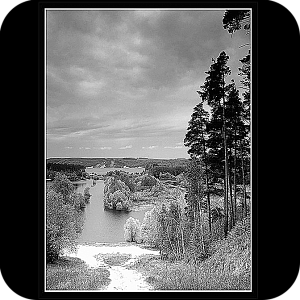 Фото Фон шаблон 174