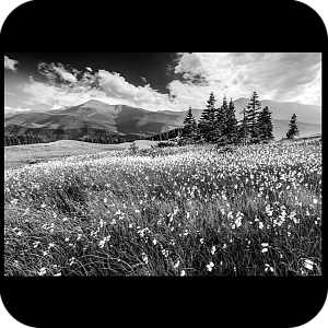 Фото Фон шаблон 290