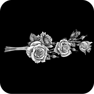 Фото Цветы шаблон 90