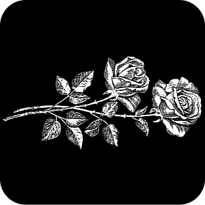 Фото Цветы шаблон 363