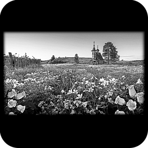 Фото Фон шаблон 91