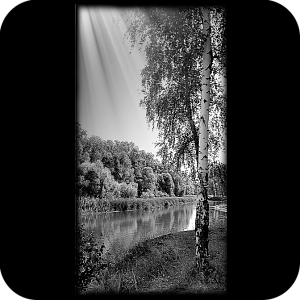 Фото Фон шаблон 76