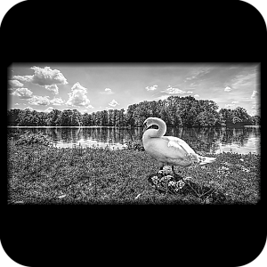 Фото Фон шаблон 94