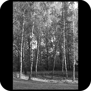 Фото Фон шаблон 137