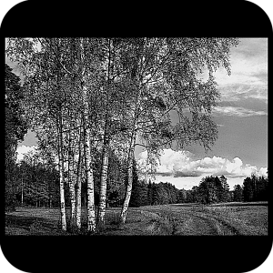 Фото Фон шаблон 75
