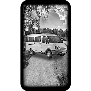 Фото газель