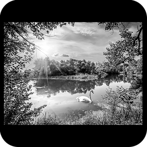 Фото Фон шаблон 47