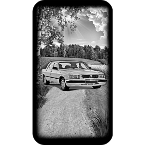 Фото волга