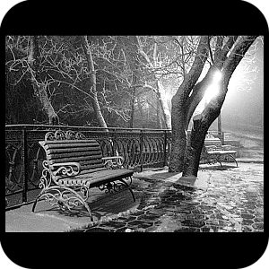 Фото Фон шаблон 236