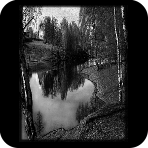 Фото Фон шаблон 46