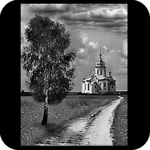 Фото Фон шаблон 162